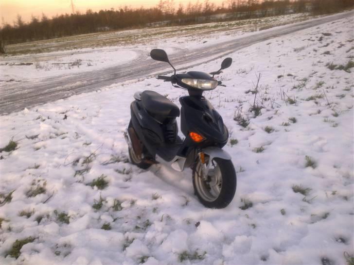 Adly Baboon billede 11