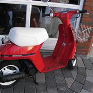 Honda Melody NT50 SOLGT