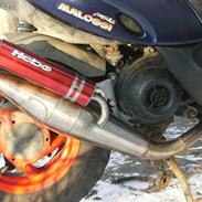 Gilera Stalker [SOLGT]