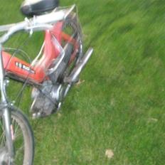 Puch maxi - SOLGT