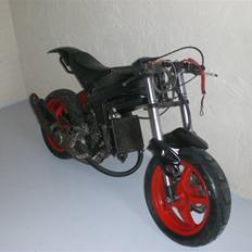 Suzuki Street magic/ Rox