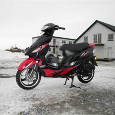 Giantco Sprint Sport 