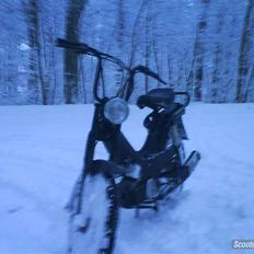 Puch korado "TROFAST" 