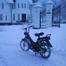 Puch korado "TROFAST" 