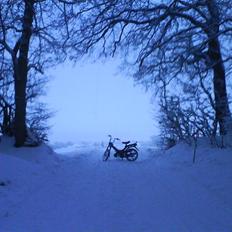 Puch korado "TROFAST" 