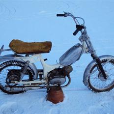 Monark Crescent Champignon SOLGT