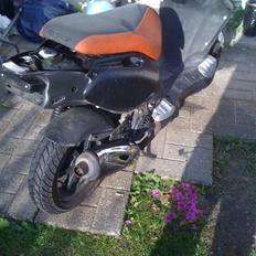 PGO pmx 110cc SOLGT