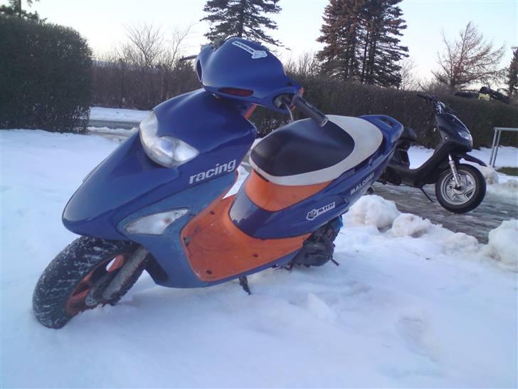 Honda sfx byttet til stalker billede 10