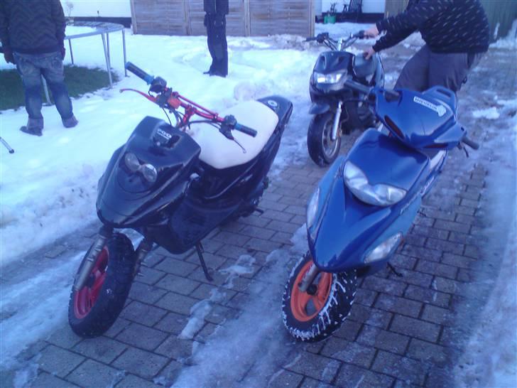 Honda sfx byttet til stalker billede 11