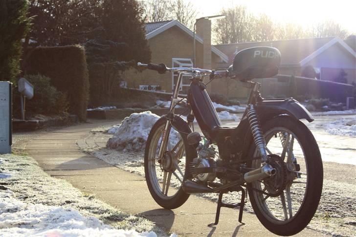 Puch Maxi KL (BYTTET) billede 11