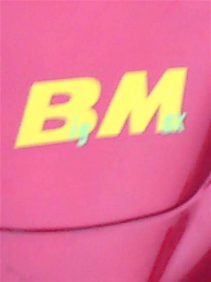 PGO Big Max bytte billede 1