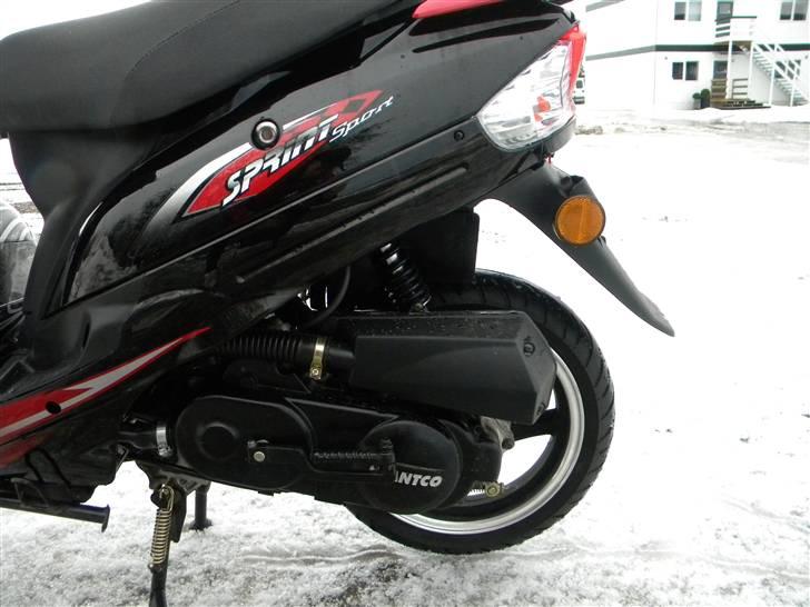 Giantco Sprint Sport  billede 2