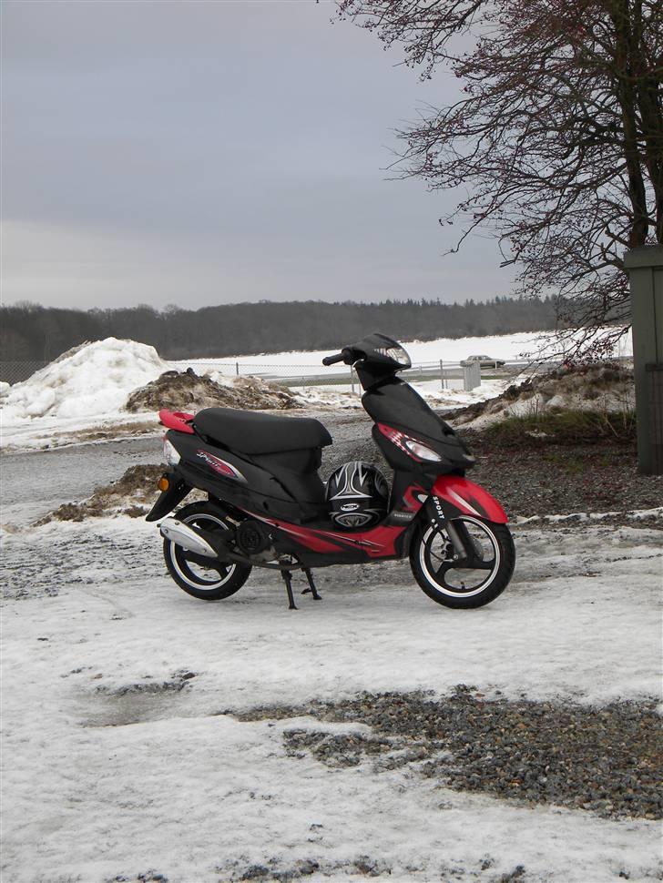 Giantco Sprint Sport  billede 7