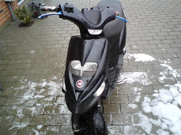 Gilera stalker byttet billede 17