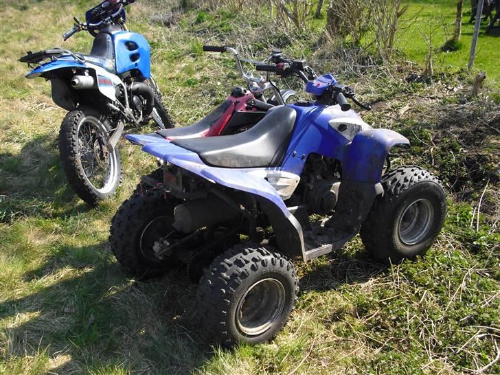 Yamaha Dolphin 100 cc  billede 7