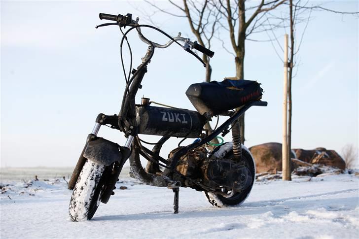 Suzuki AP50 Adress - Billeder taget af  www.jakobtaarnskov.com billede 1