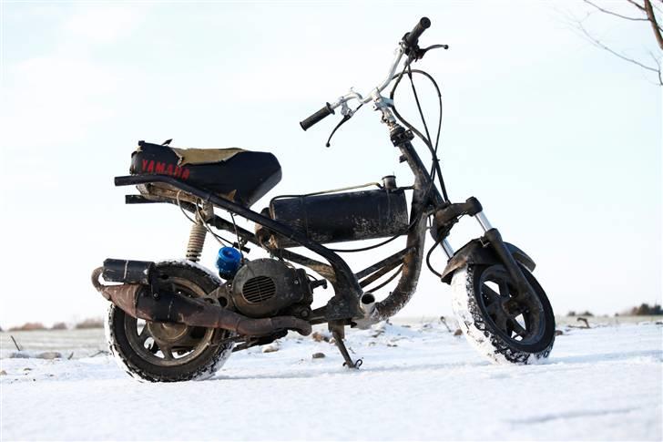 Suzuki AP50 Adress - Billeder taget af  www.jakobtaarnskov.com billede 2