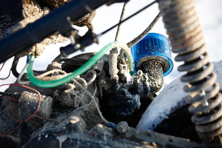 Suzuki AP50 Adress - Billeder taget af  www.jakobtaarnskov.com billede 5