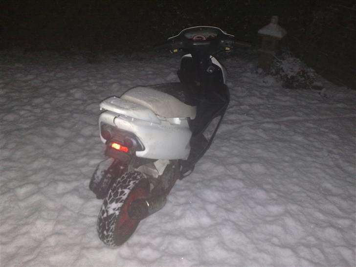 Honda SFX VÆK billede 5