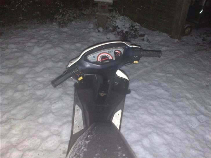 Honda SFX VÆK billede 9