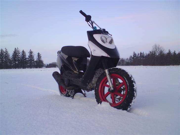 PGO hot 50 solgt billede 1