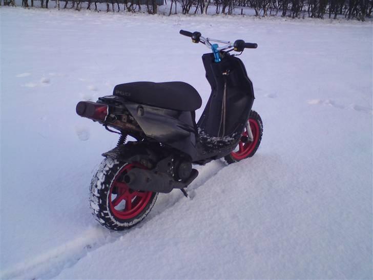 PGO hot 50 solgt billede 4