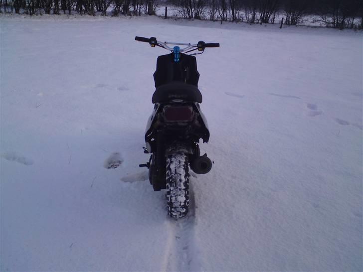 PGO hot 50 solgt billede 5