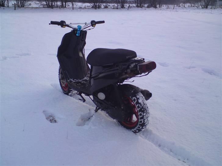 PGO hot 50 solgt billede 6