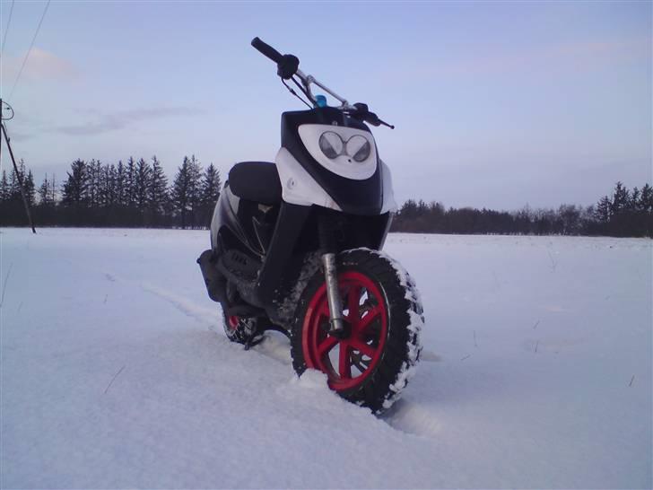 PGO hot 50 solgt billede 10