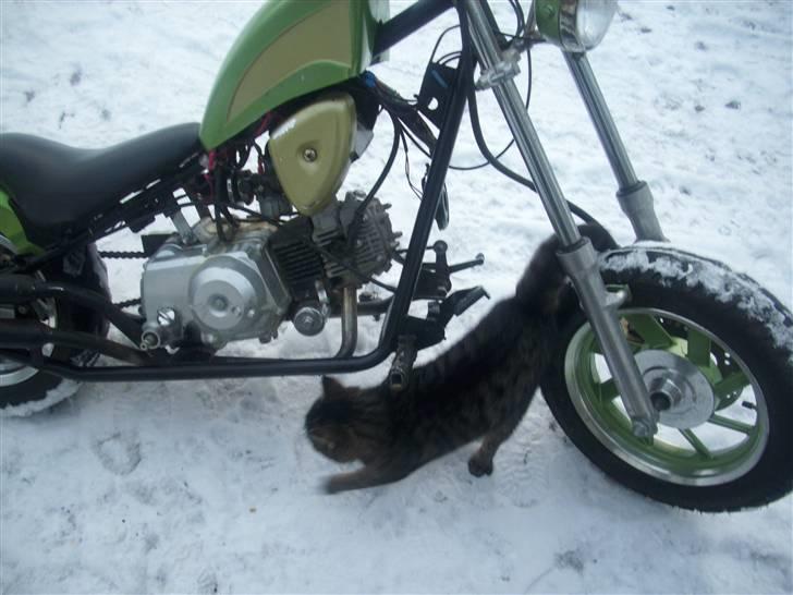 MiniBike chopper 124cc billede 10