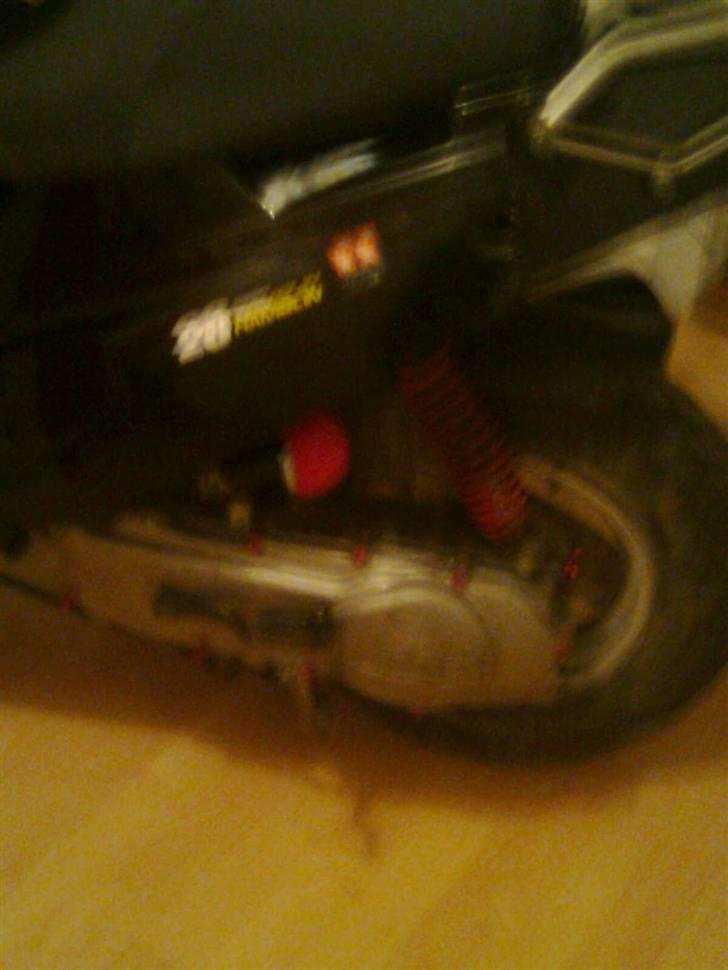 PGO hot  byttet billede 5