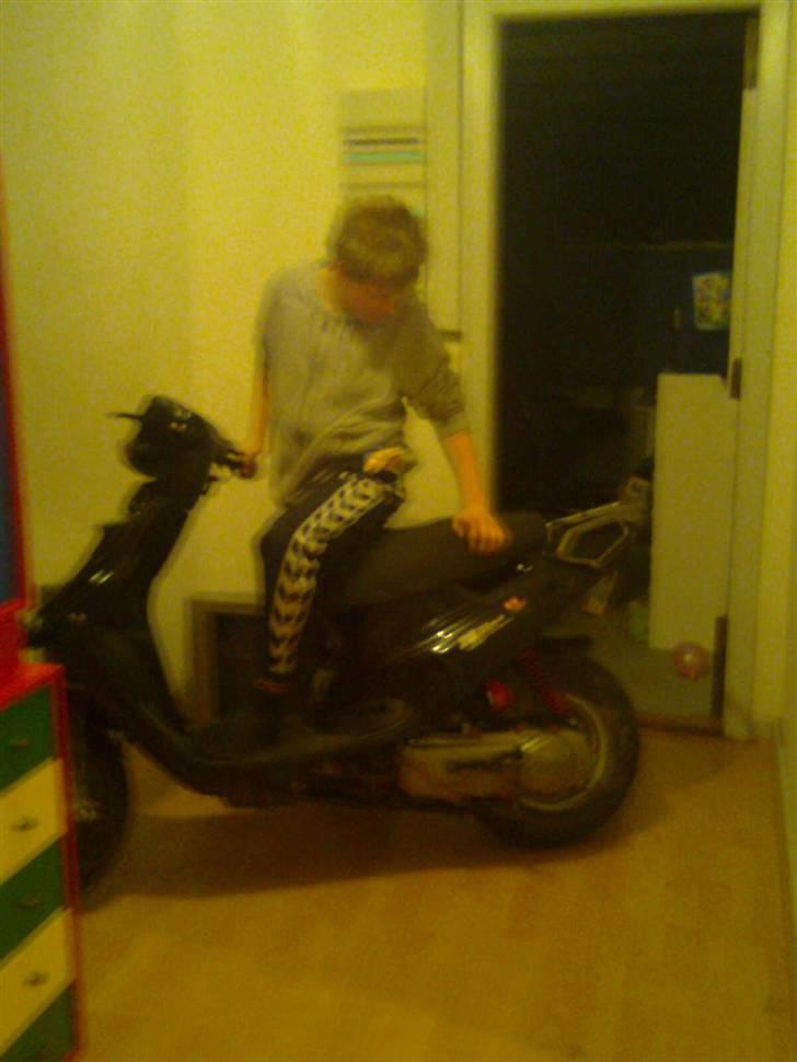 PGO hot  byttet billede 6