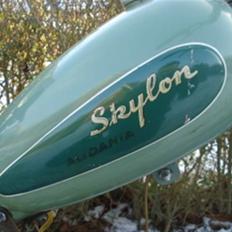 Veteraner Skylon Alidania