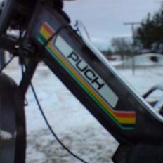 Puch Maxi KL