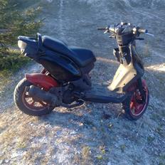 PGO Pmx No fear       (SOLGT)