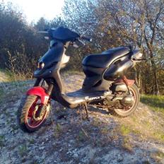 PGO Pmx No fear       (SOLGT)