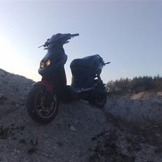 PGO Pmx No fear       (SOLGT)