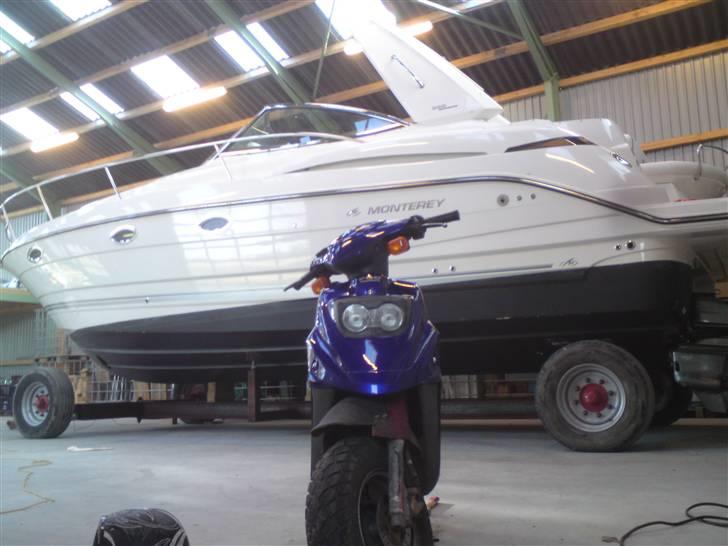 PGO hot 50 solgt billede 5