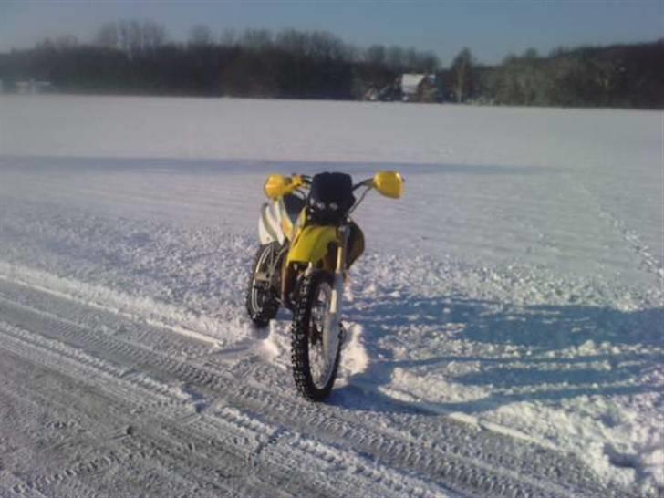 Suzuki RMX billede 14