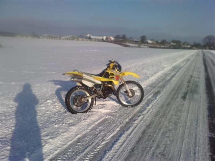 Suzuki RMX billede 15