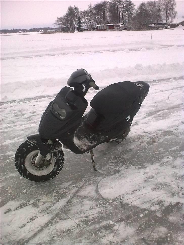 PGO Hot 50 billede 13