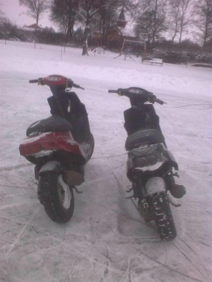 PGO Hot 50 billede 16