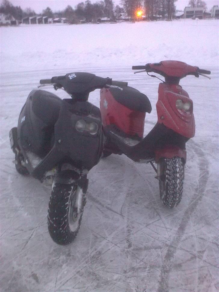 PGO Hot 50 billede 17