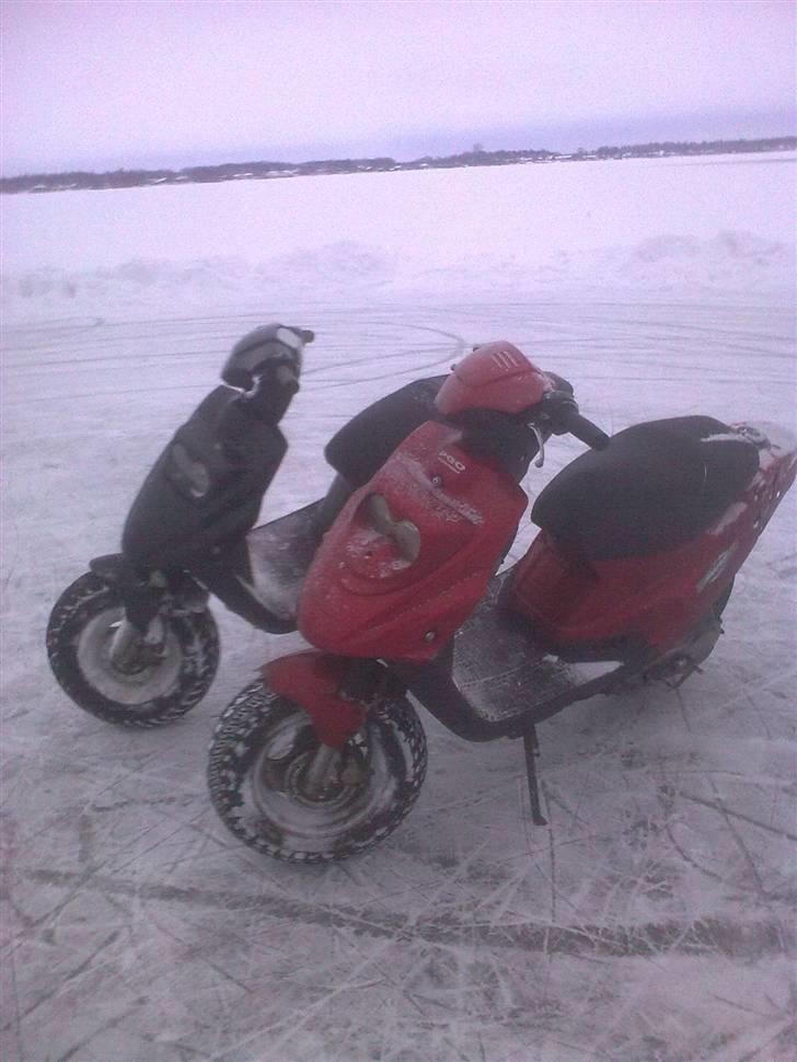 PGO Hot 50 billede 18