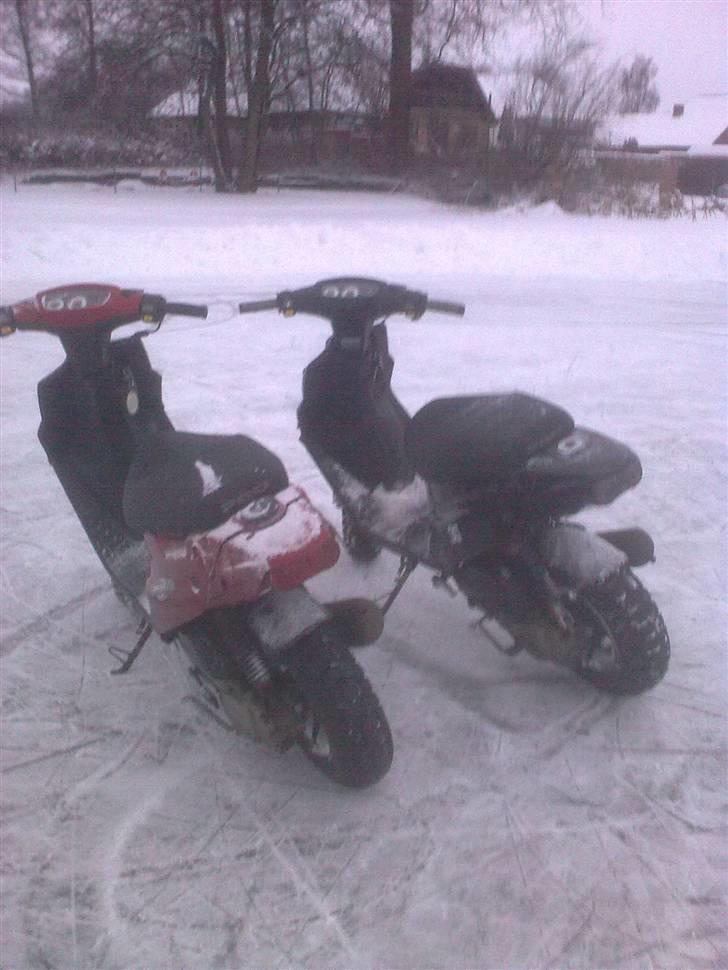 PGO Hot 50 billede 19