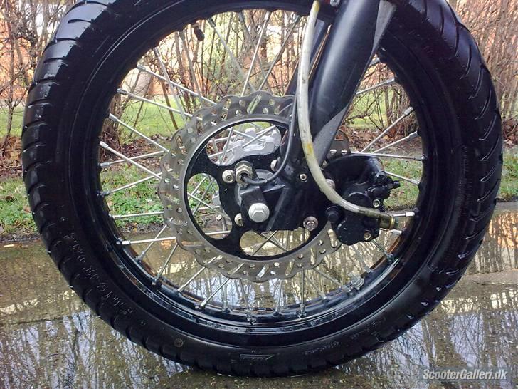 Apollo Orion   orion billede 5