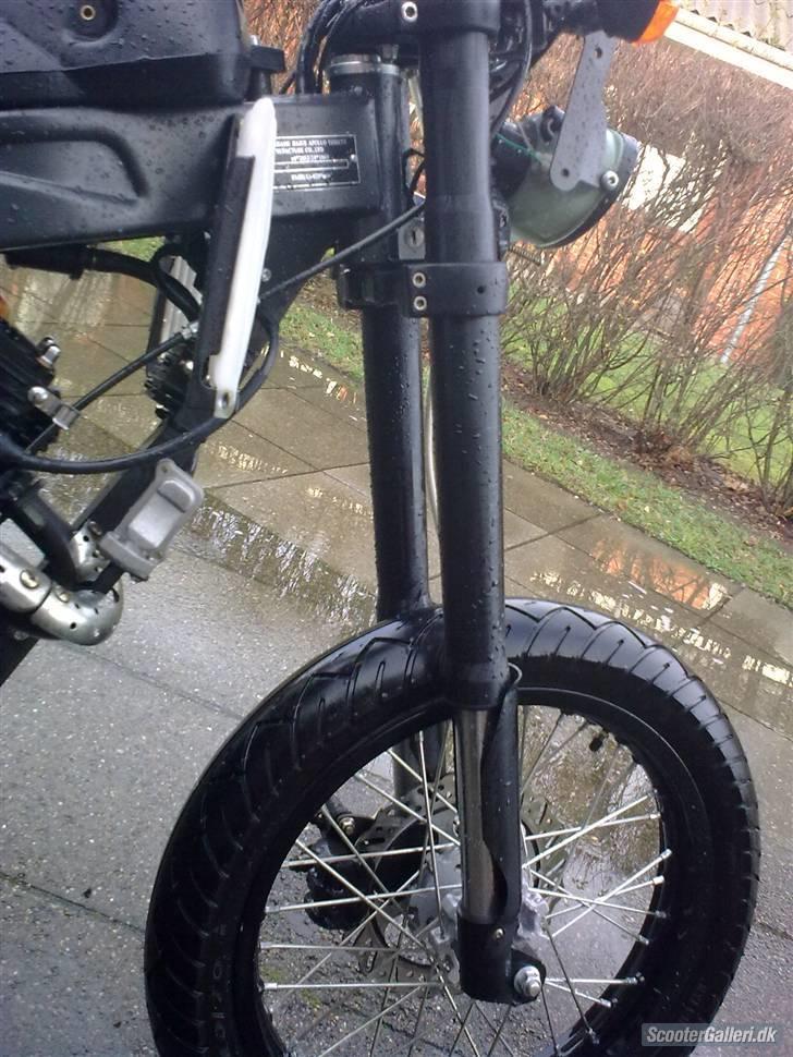 Apollo Orion   orion billede 6