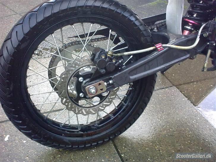 Apollo Orion   orion billede 7