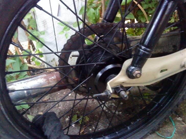 Puch maxi kl (lang vej endnu) billede 8