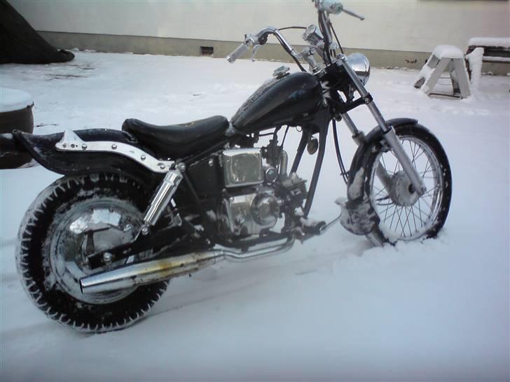 Regal raptor-taget af politiet- billede 2